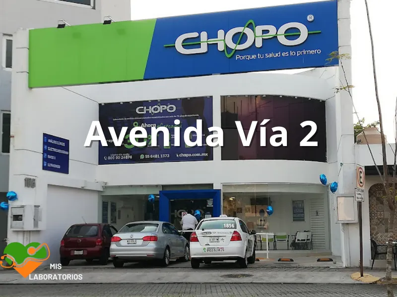 Chopo Avenida Vía 2