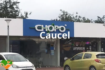 Chopo Caucel