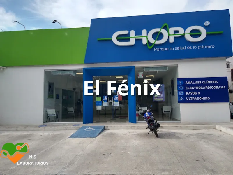 Chopo El Fénix