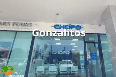 Chopo Gonzalitos