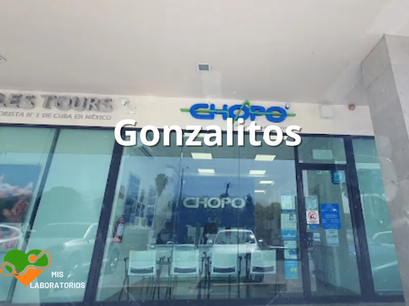 Chopo Gonzalitos