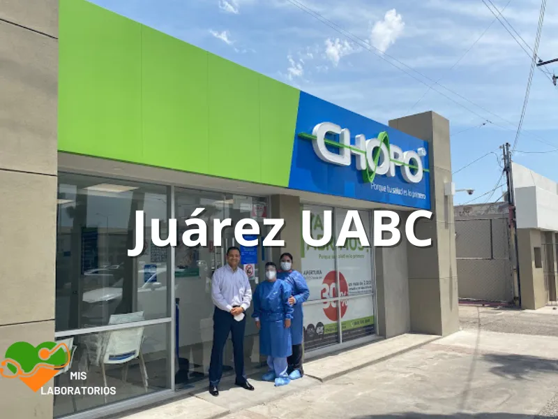 Chopo Juárez UABC