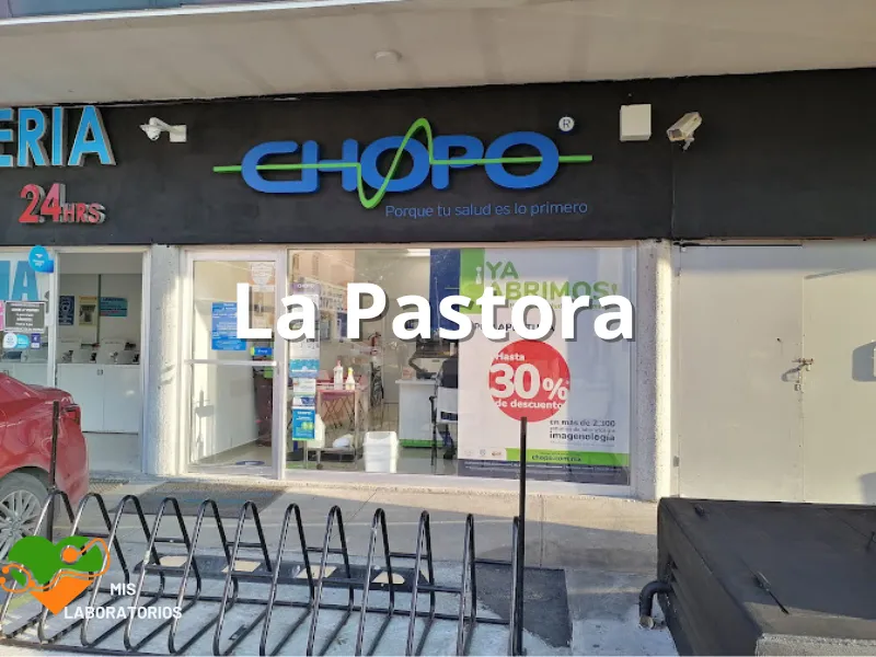 Chopo La Pastora