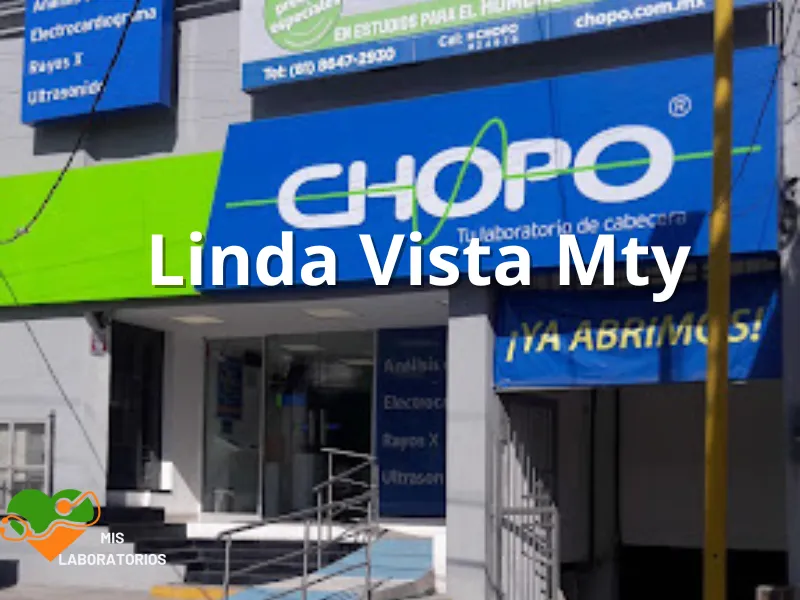 Chopo Linda Vista Mty