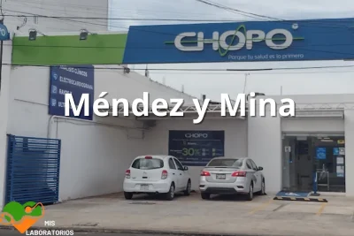 Chopo Mendez y Mina