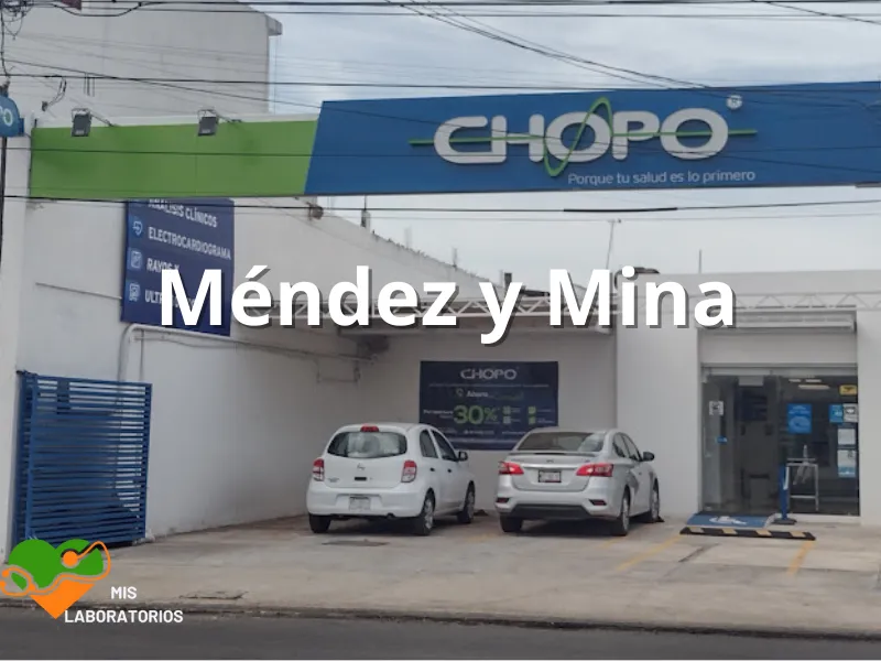 Chopo Mendez y Mina