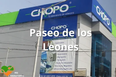 Chopo Paseo de los Leones