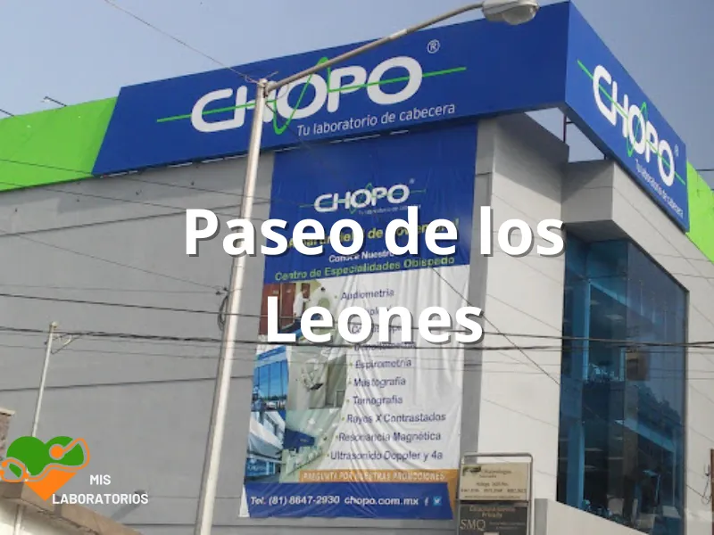 Chopo Paseo de los Leones