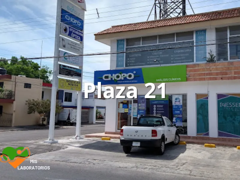 Chopo Plaza 21