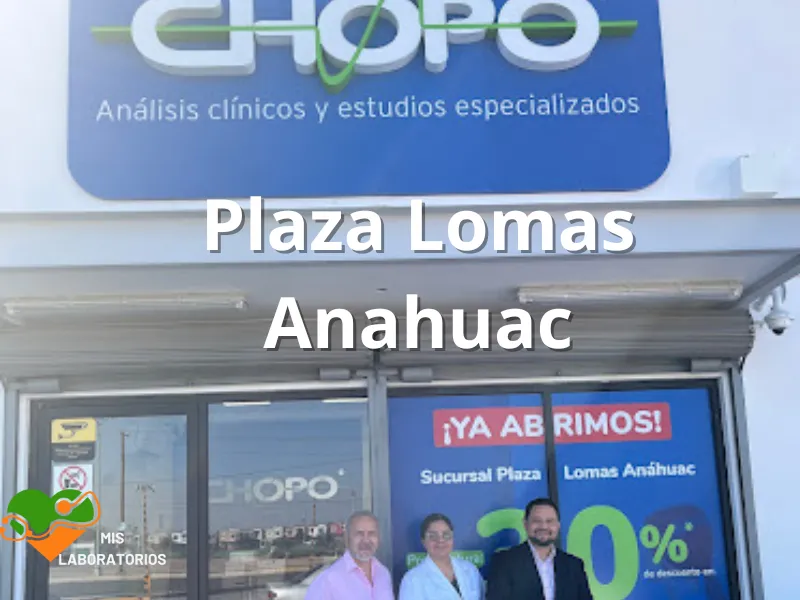 Chopo Plaza Lomas Anahuac