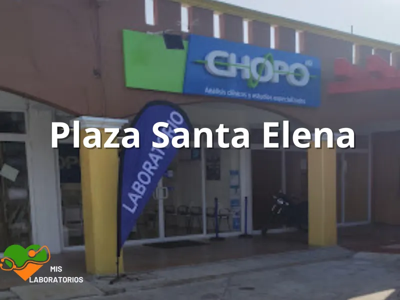 Chopo Plaza Santa Elena