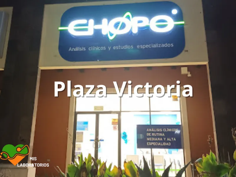 Chopo Plaza Victoria