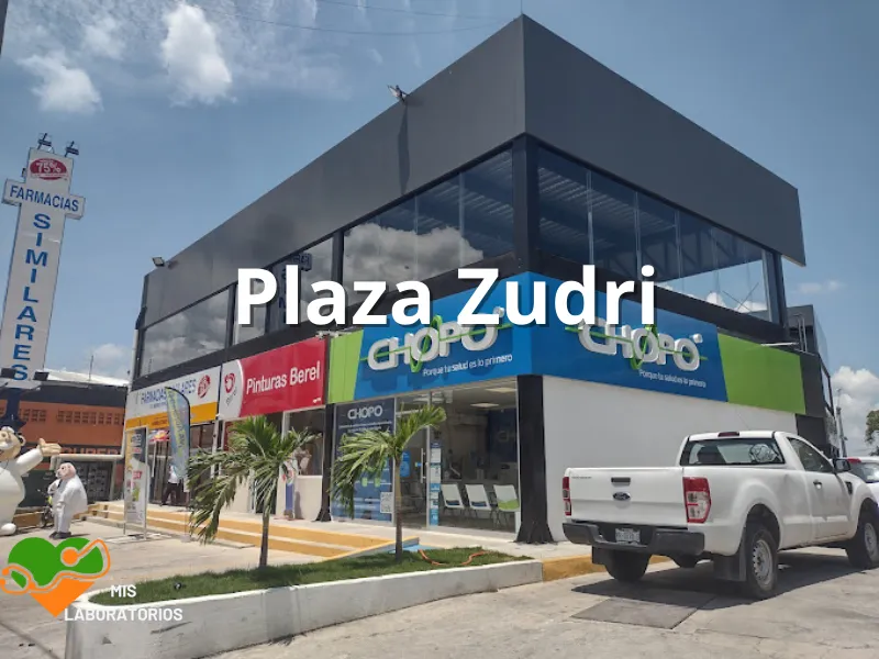 Chopo Plaza Zudri