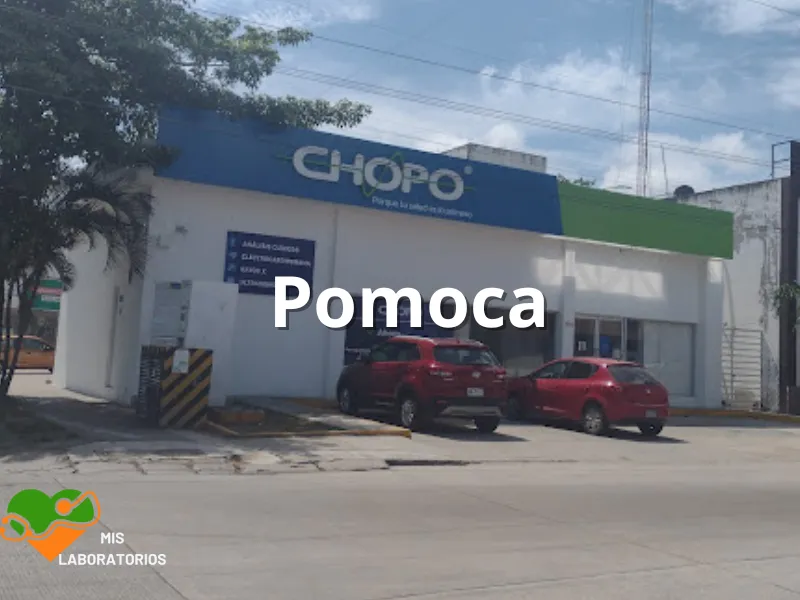 Chopo Pomoca