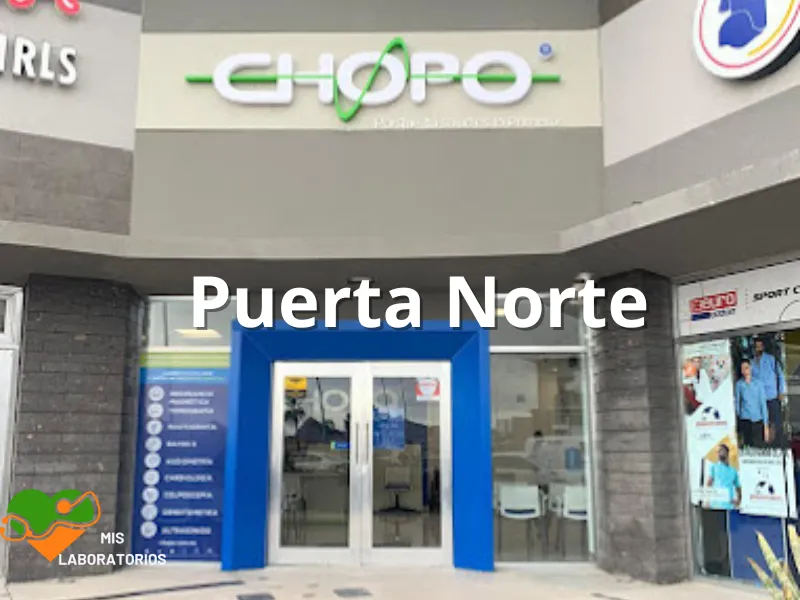 Chopo Puerta Norte