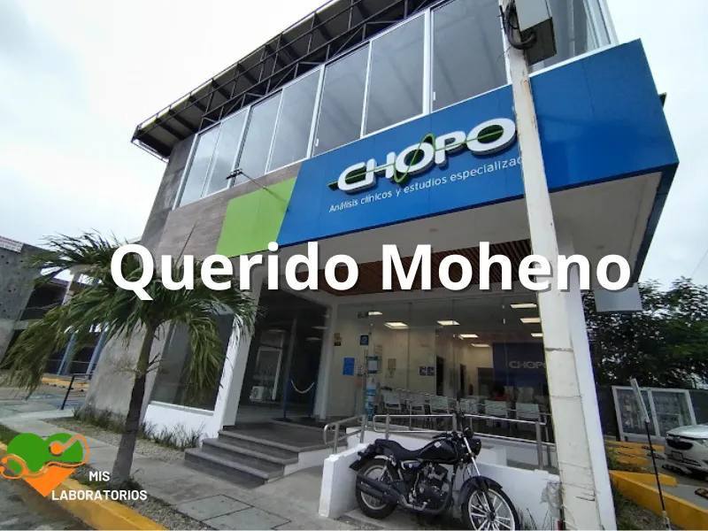 Chopo Querido Moheno