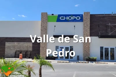 Chopo Valle de San Pedro
