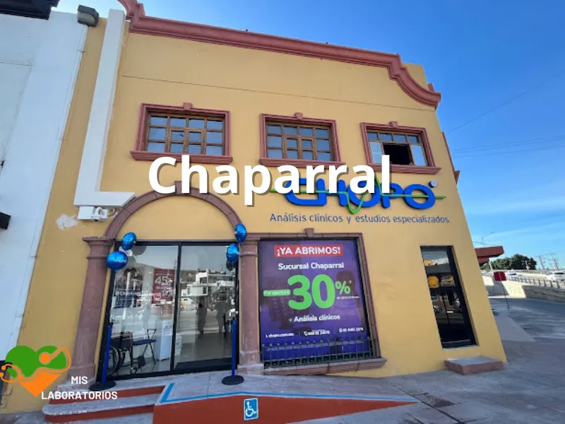 Chopo Chaparral