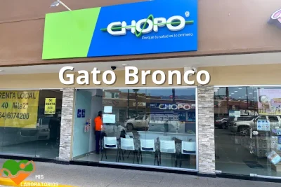 Chopo Gato Bronco