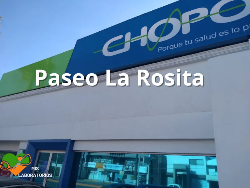 Chopo Paseo la rosita