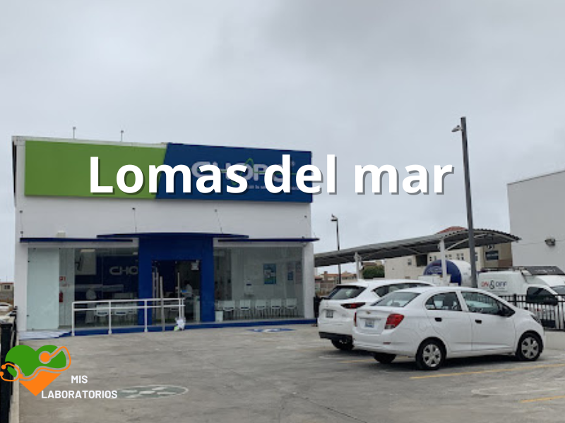 Chopo Lomas del Mar