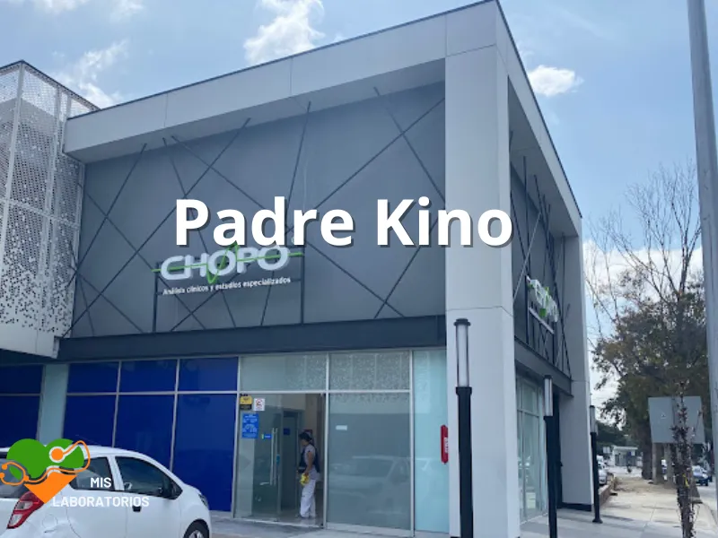 Chopo Padre Kino