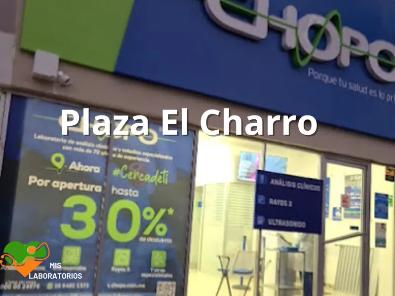 Chopo Plaza El Charro