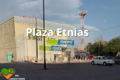 Chopo Plaza Etnias