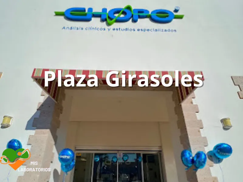 Chopo Plaza Girasoles