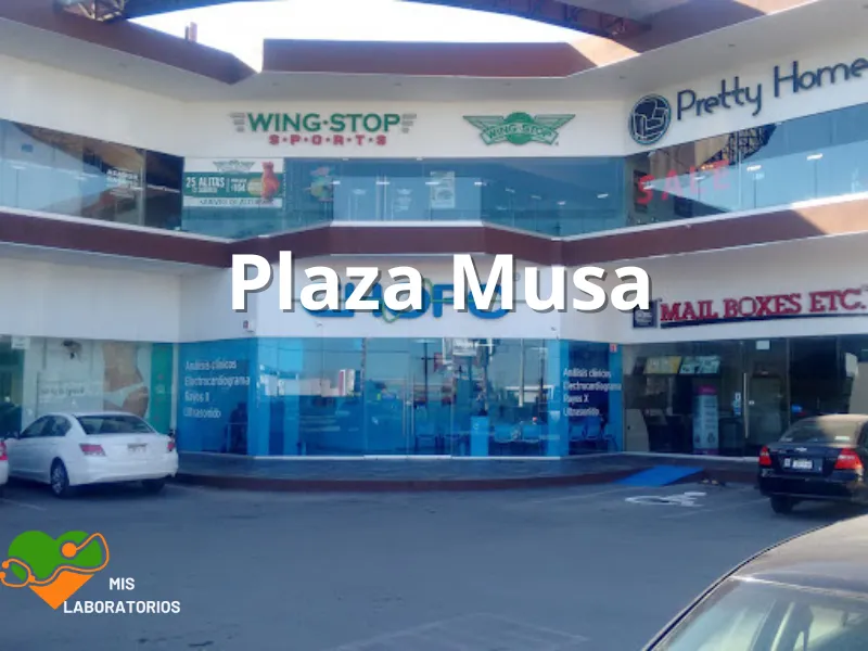 Chopo Plaza Musa