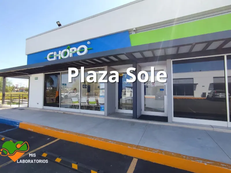 Chopo Plaza Solé