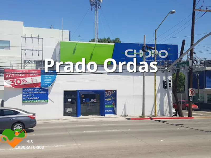 Chopo Prado Ordaz