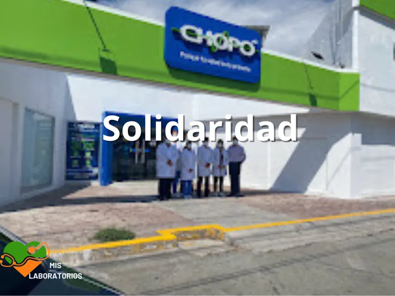 Chopo Solidaridad