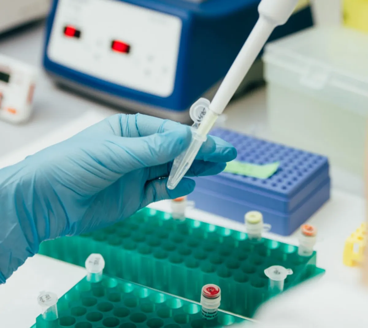 precio de prueba de adn en laboratorios mexico