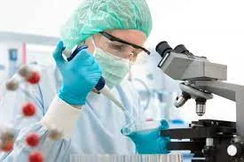 Examen de paternidad en laboratorios en méxico